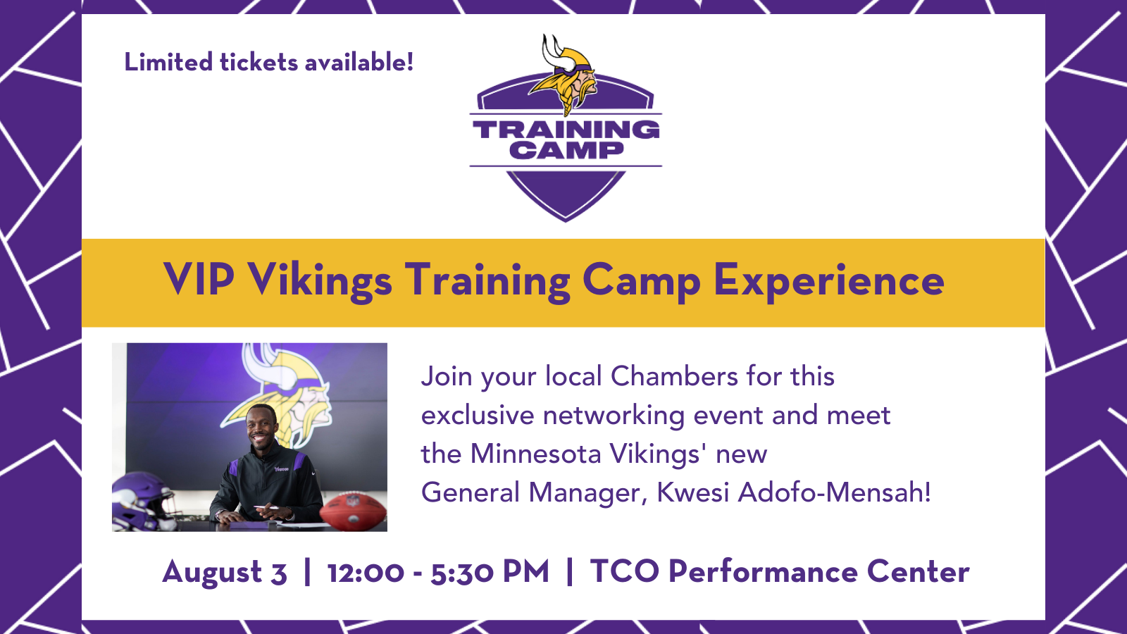 2022 VIP Vikings Training Camp Experience